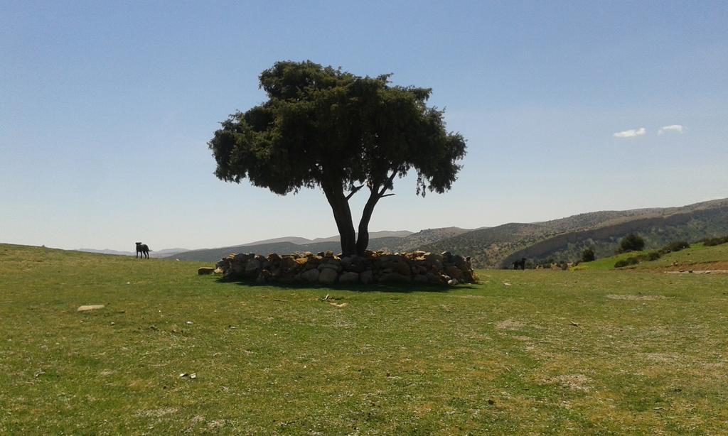 Gite Skoura Caid Bou Malla Exterior foto